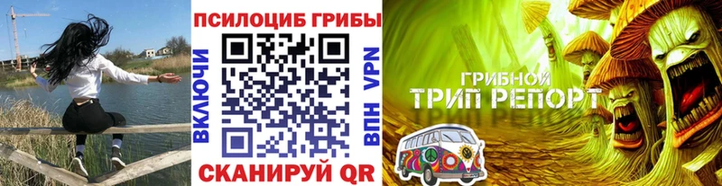 Галлюциногенные грибы ЛСД Пудож